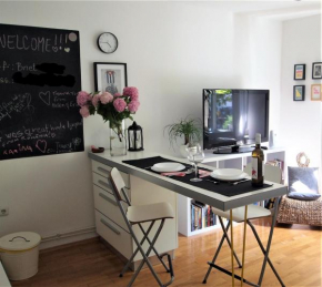 Гостиница Chic apartment  Загреб